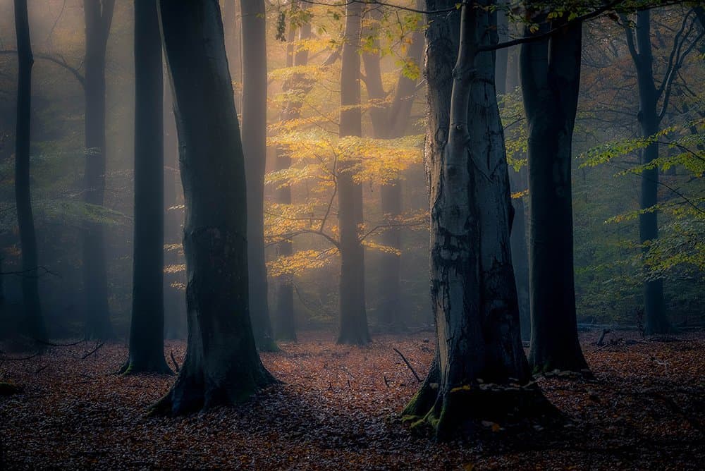 Landgoed De Slotplaats