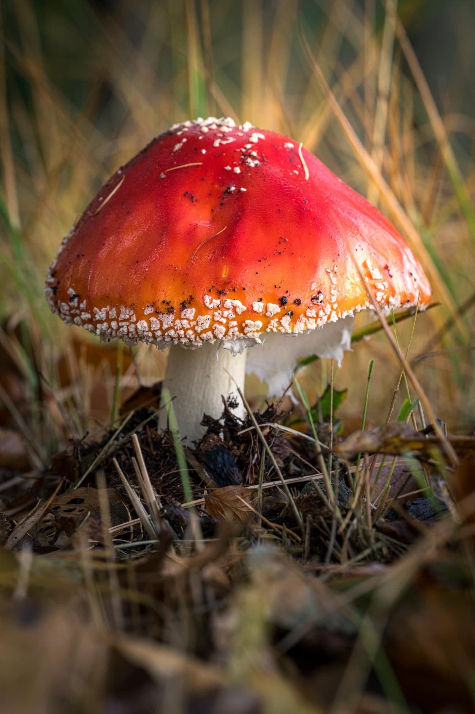 Landgoed De Slotplaats