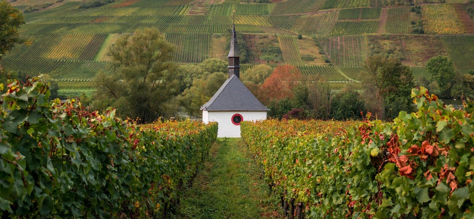 Piesport – Mosel Area