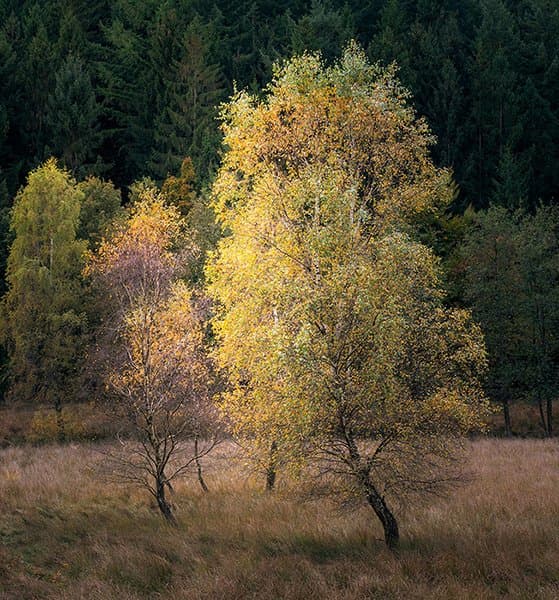 Himmelbjerget – Jutland, Denmark