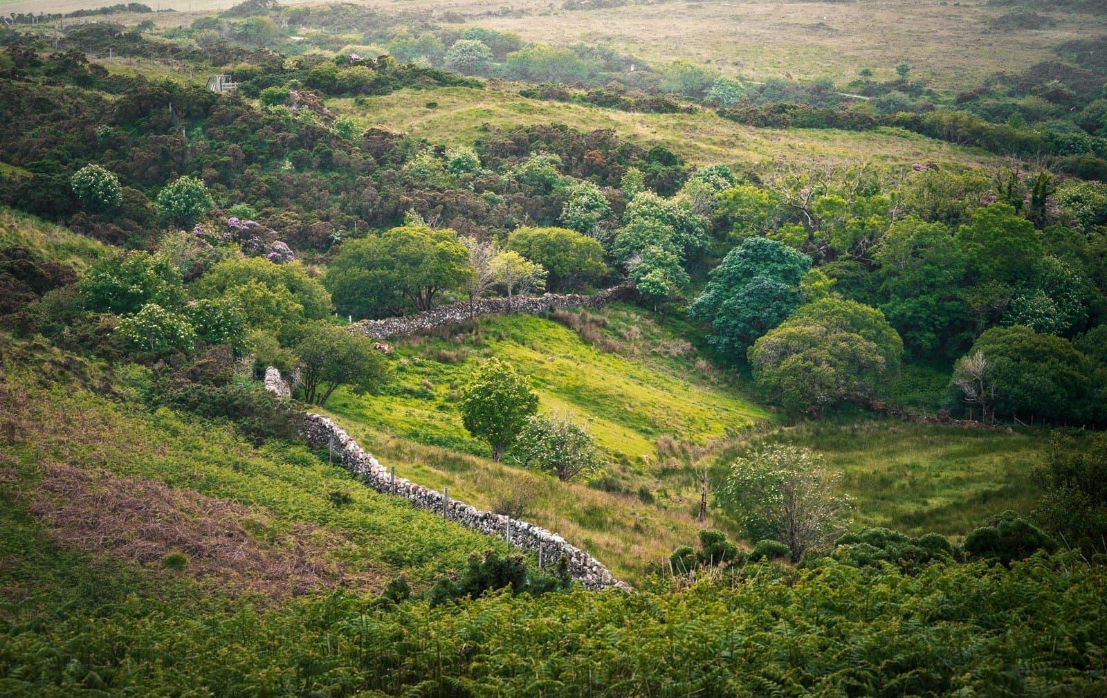 Connemara National Park – Ireland