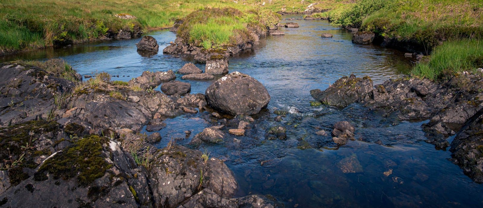 Connemara - Pine Island – Ireland