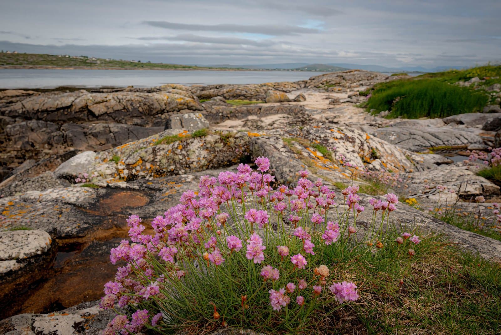 Connemara - Coral Strand – Ireland
