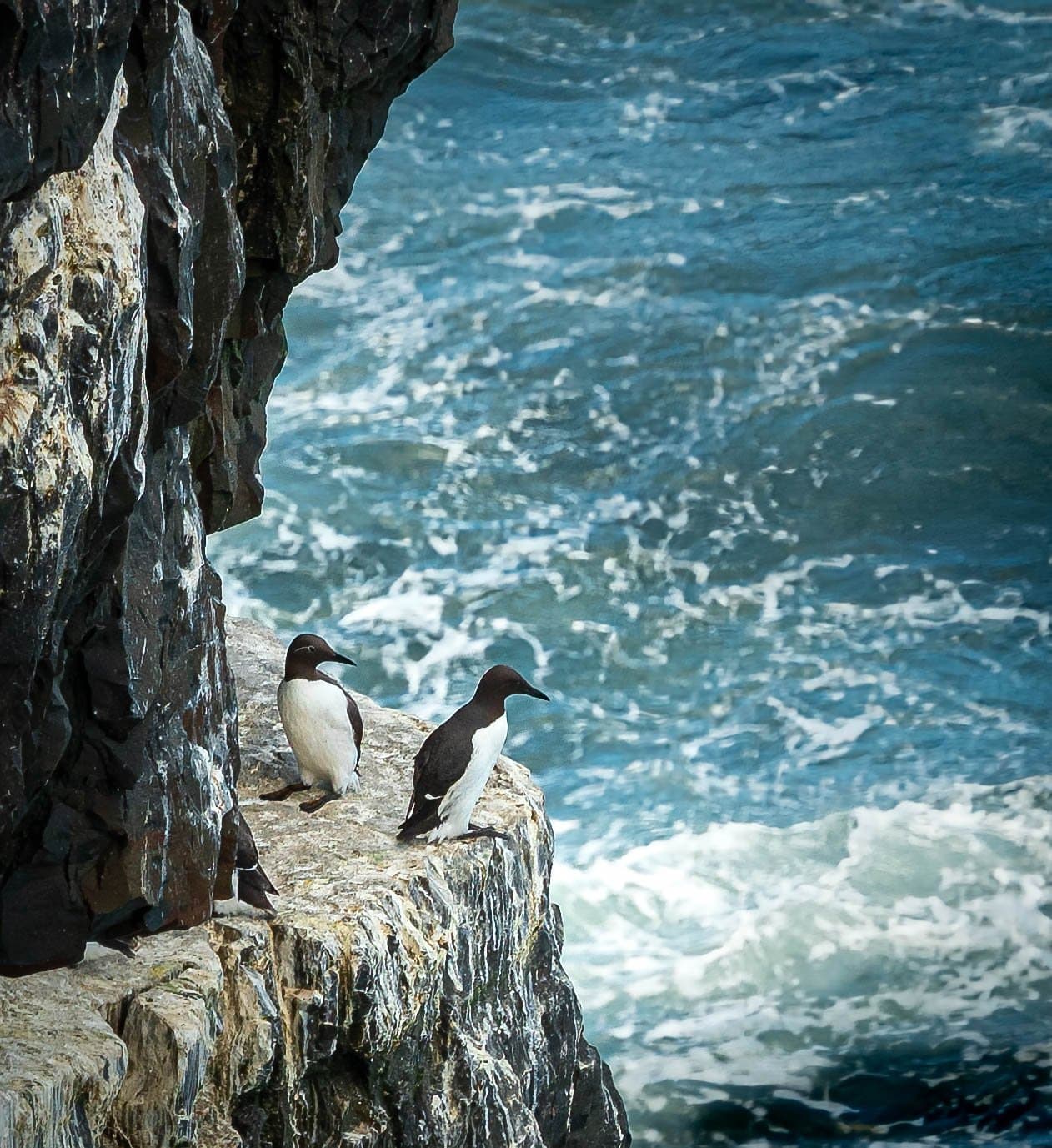 Kilkee Cliffs - Ireland