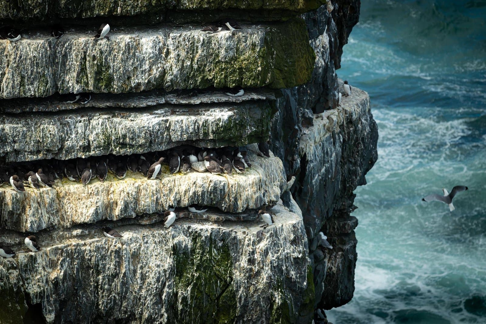 Kilkee Cliffs - Ireland