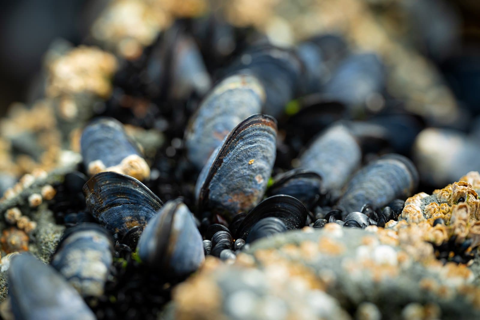 Fanore Beach - Ireland