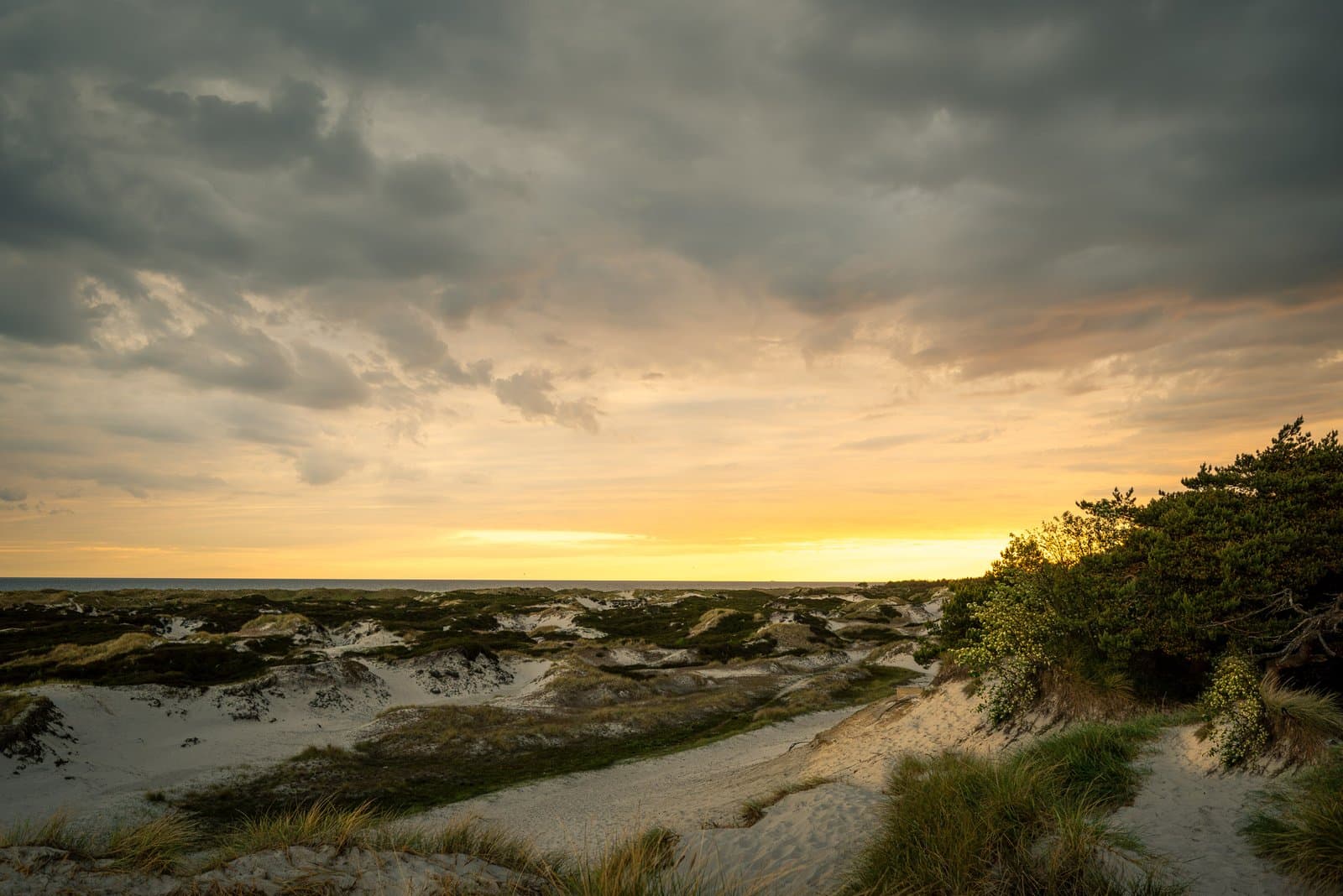 Dueodde Beach