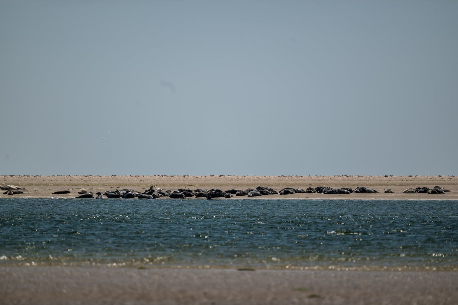 Fanø