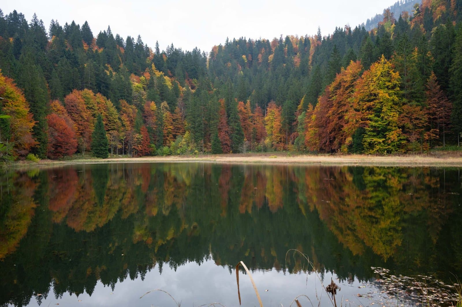 Rottach Wasserfälle