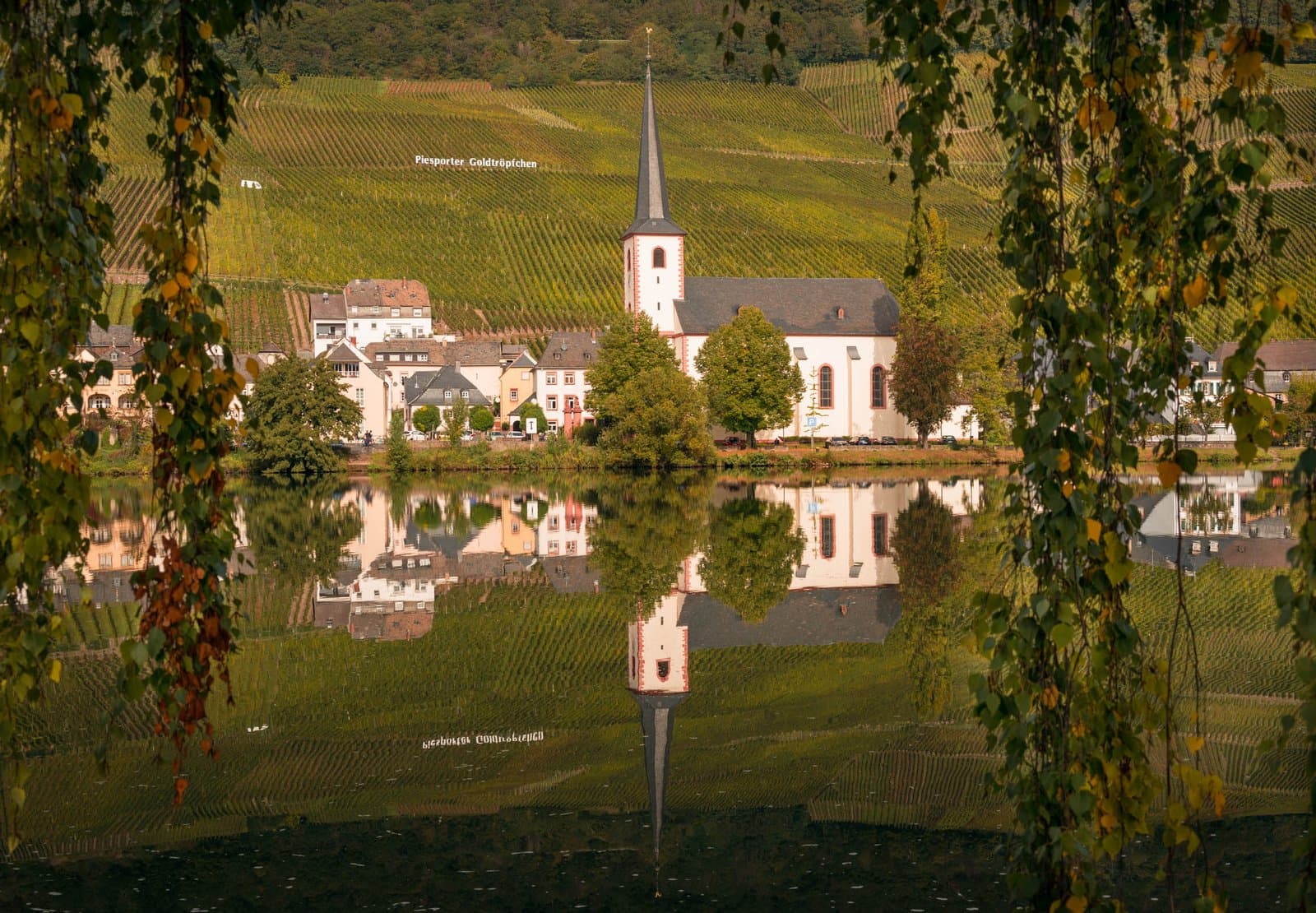 Piesport – Mosel Area
