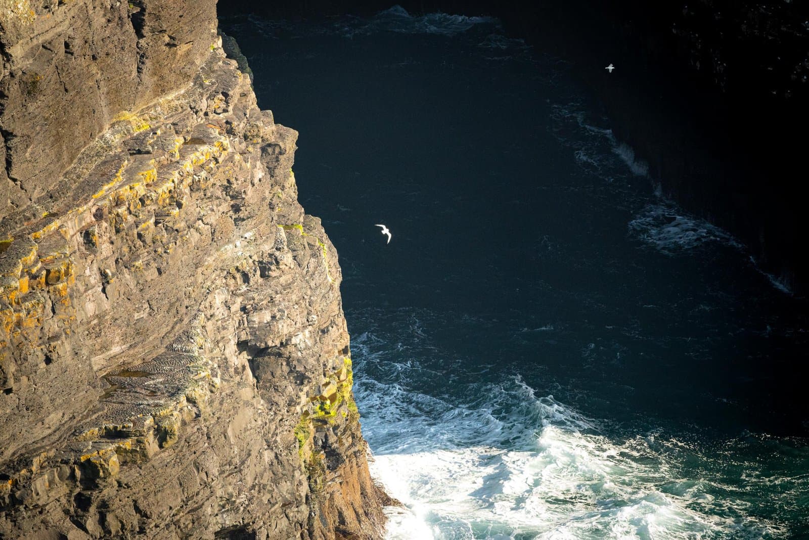 Cliffs of Moher – Ireland