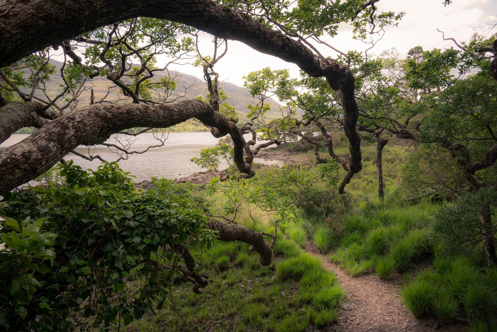 Killarney National Park – Ireland