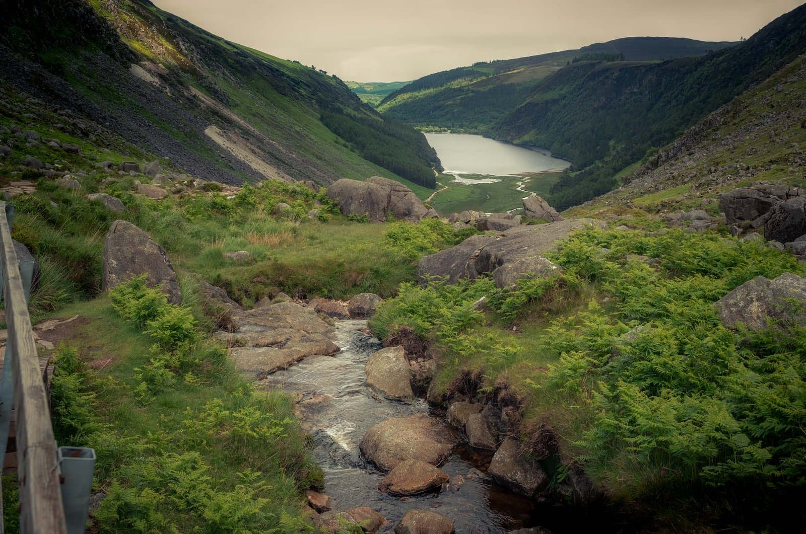 Wicklow Mountains National Park – Ireland