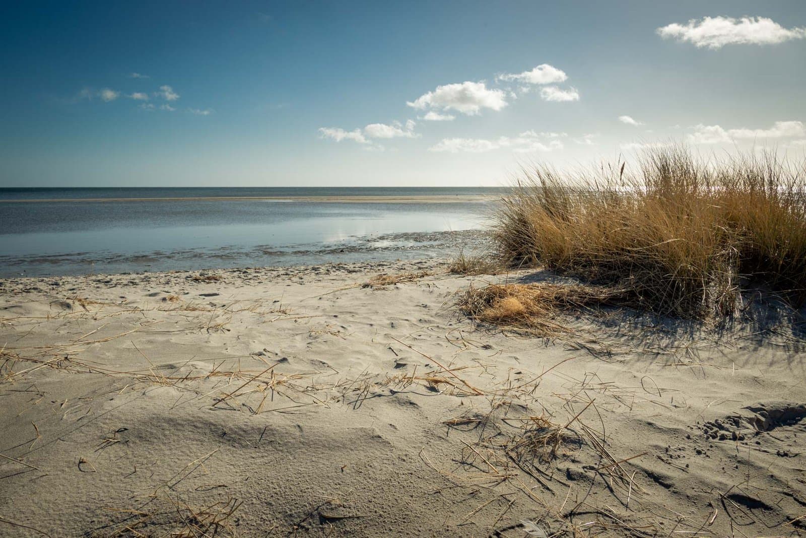 Hals – Kattegat Coast, North Jutland