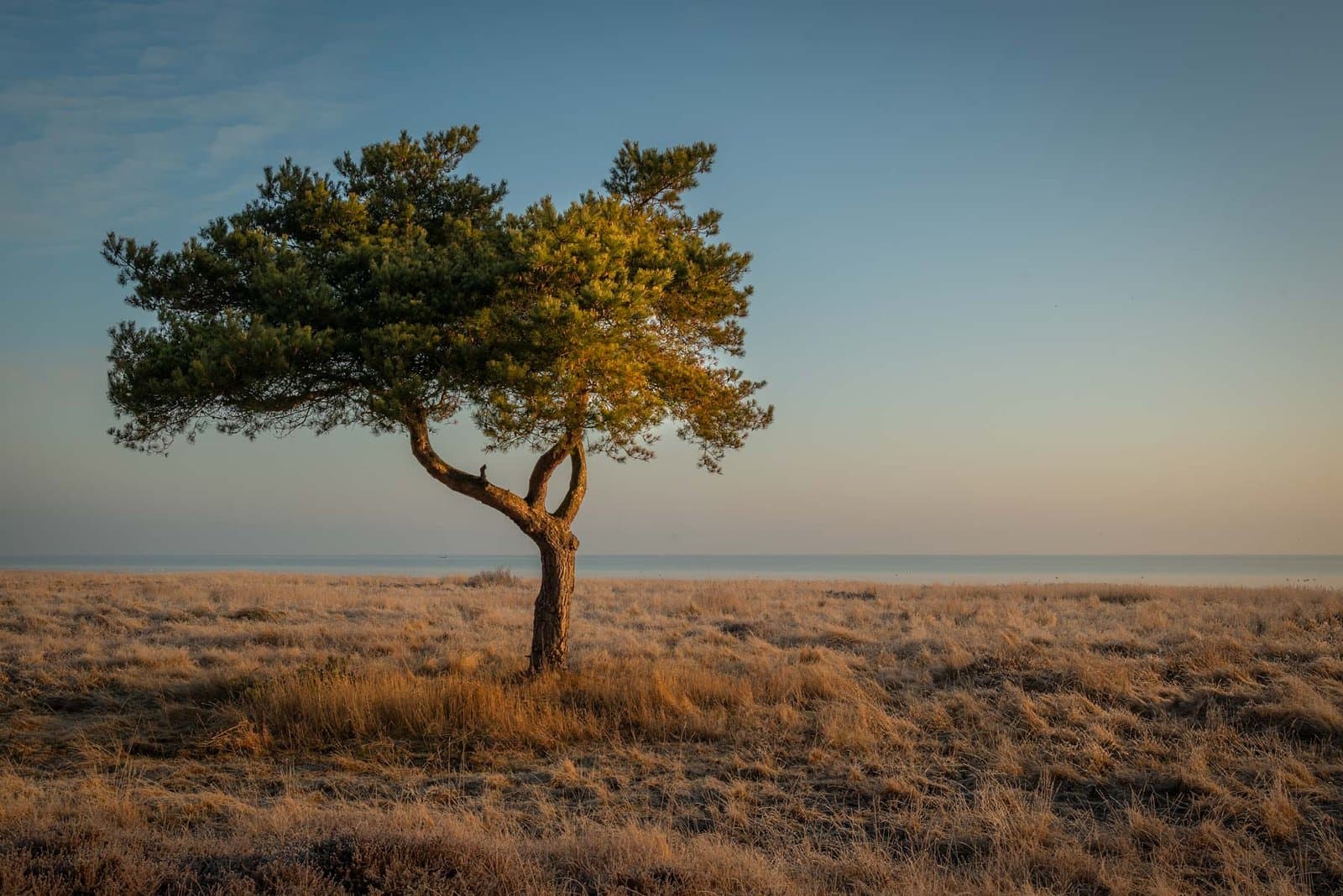 Hals – Kattegat Coast, North Jutland