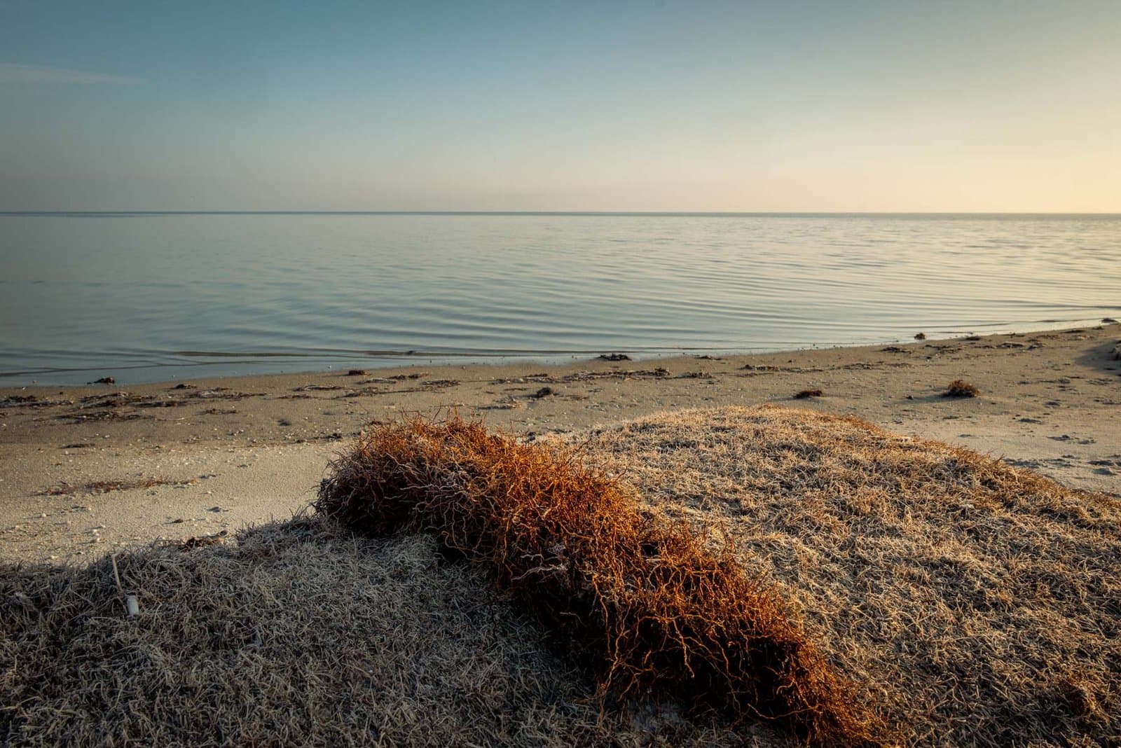 Hals – Kattegat Coast, North Jutland