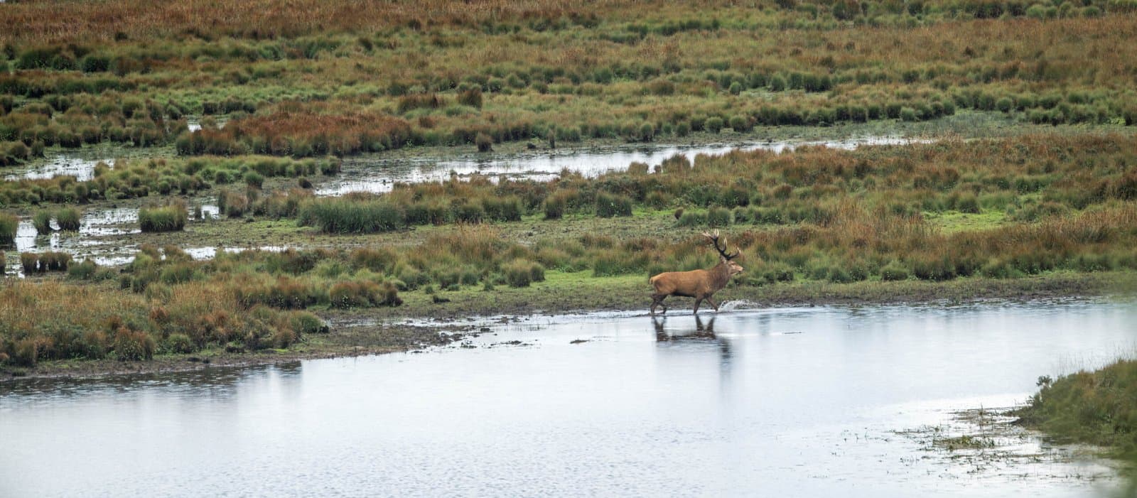 Hanstholm Vildtreservat – Thy National Park