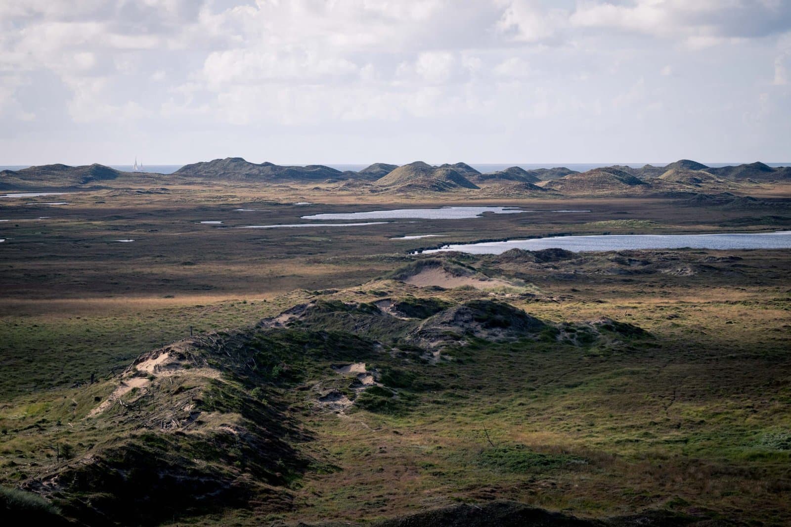 Hanstholm Vildtreservat – Thy National Park