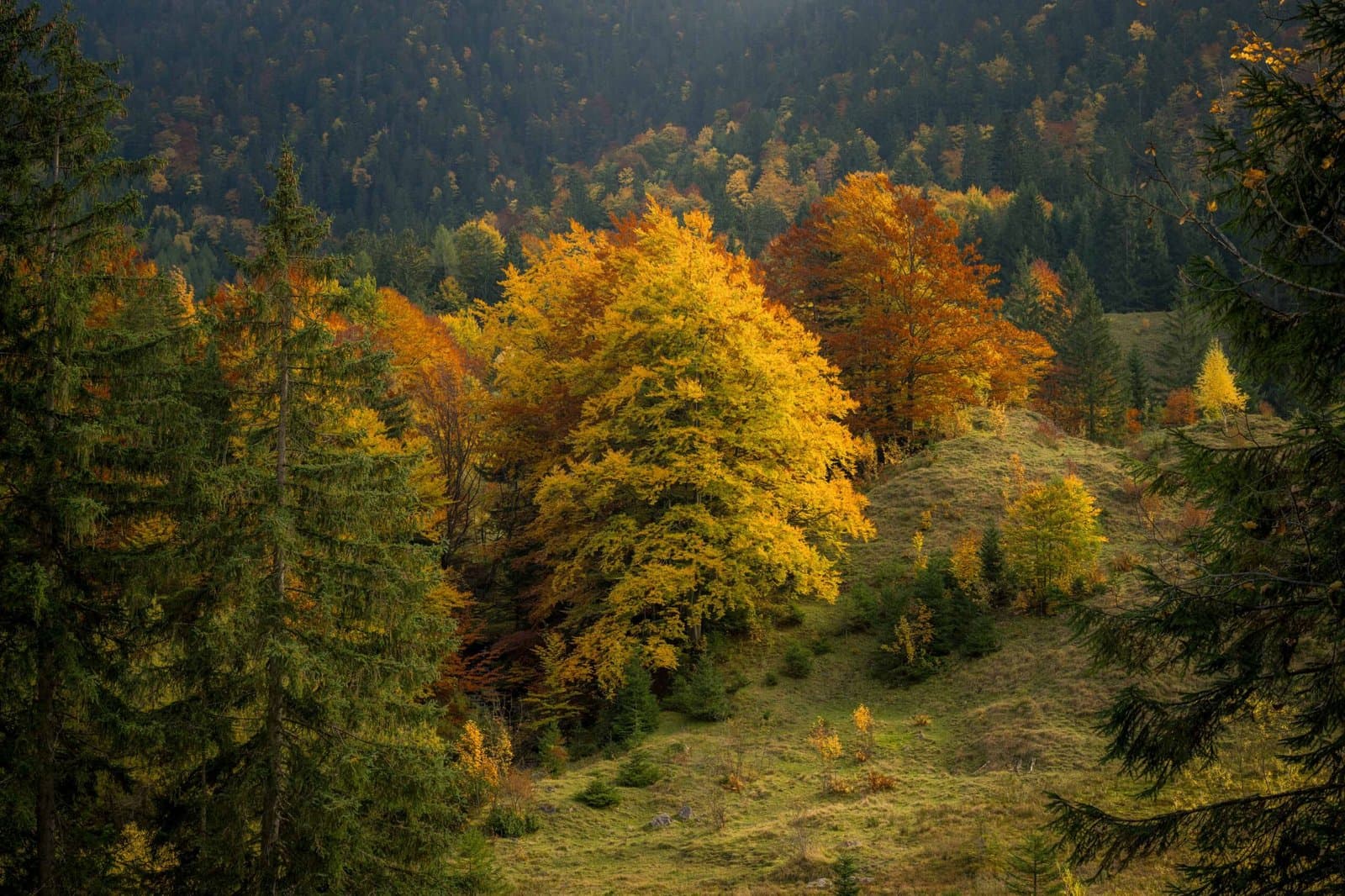 Josefsthaler Wasserfälle