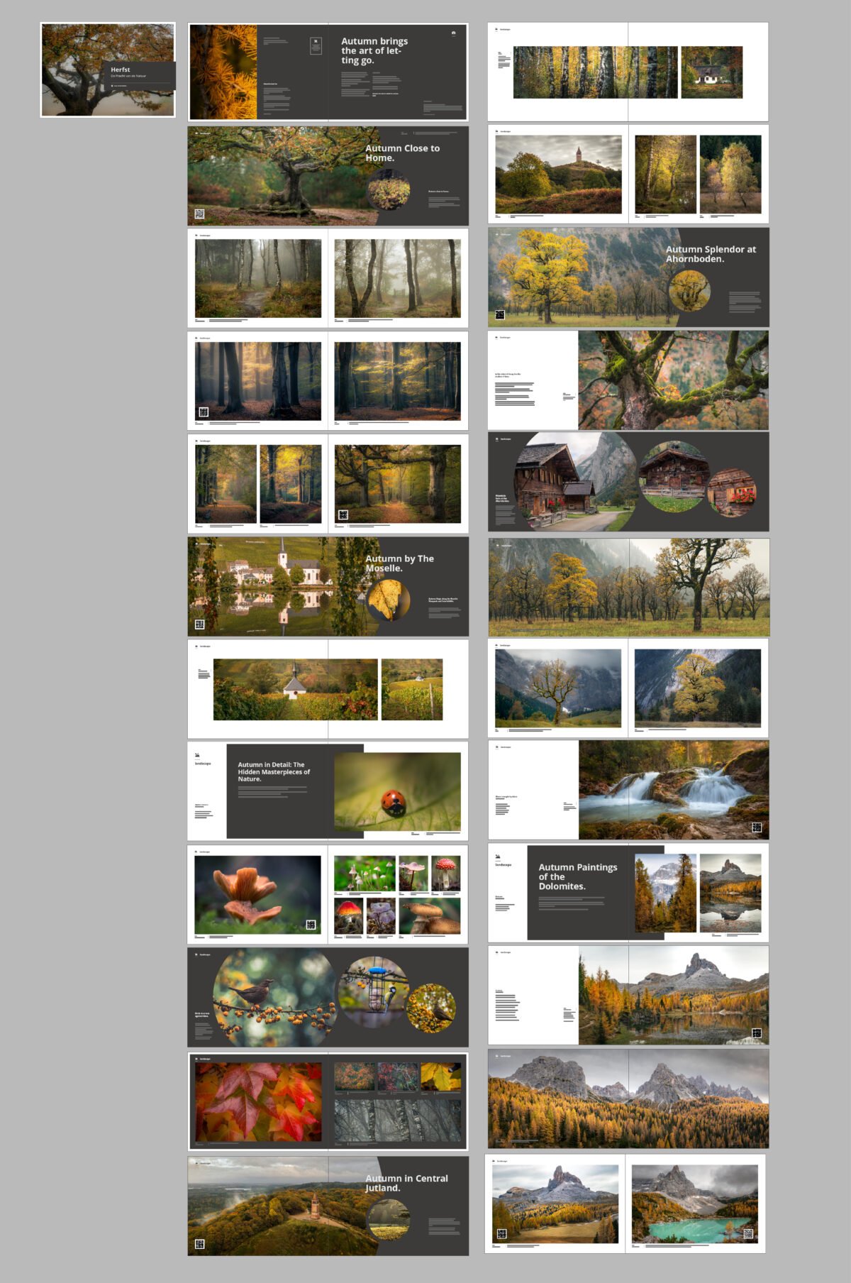 Boek Herfst – De Pracht van de Natuur – 50 Pagina's Hardcover (Nederlands) - Afbeelding 9