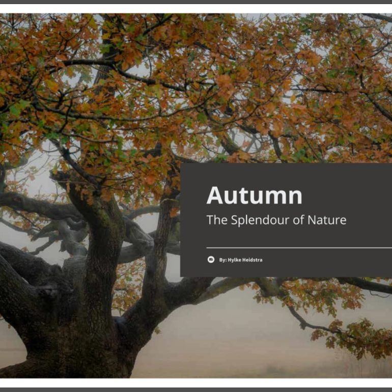 Book Autumn – The Splendour of Nature in Pictures