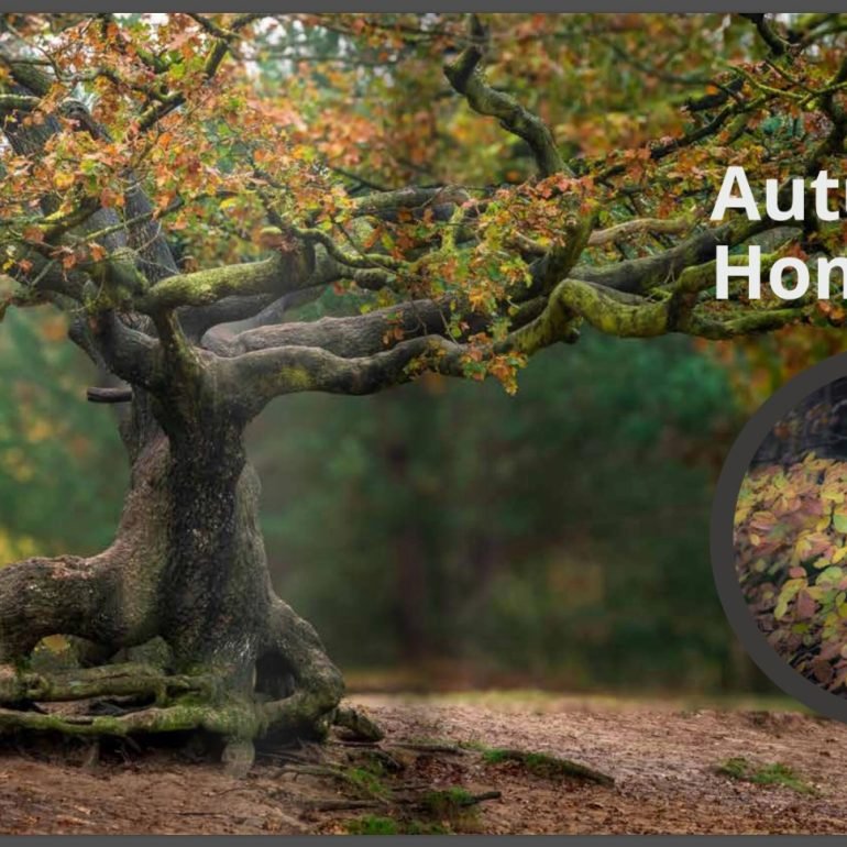Book Autumn – The Splendour of Nature in Pictures