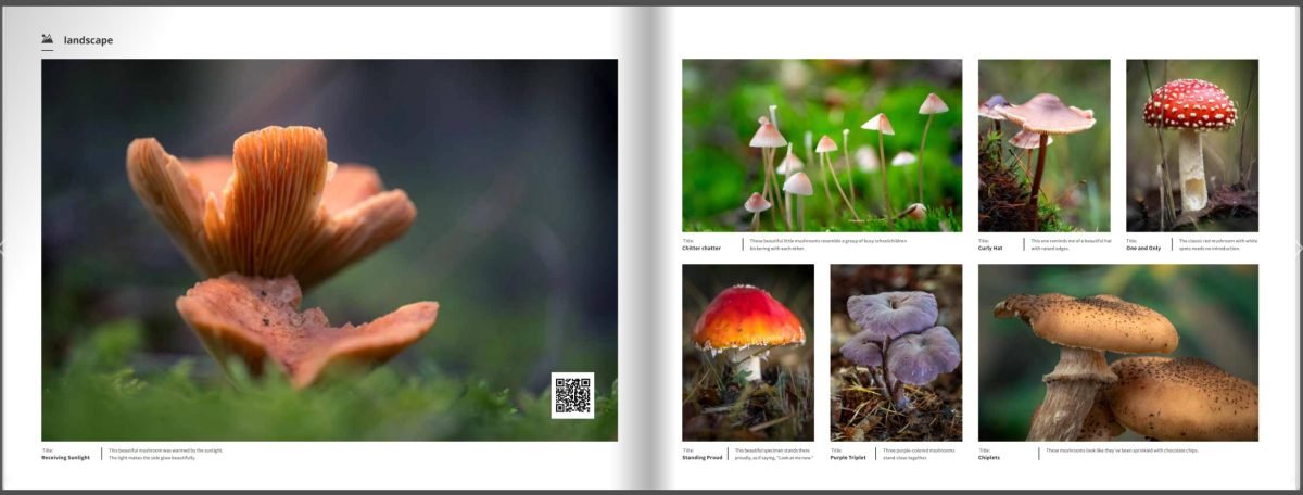 Book Autumn – The Splendour of Nature in Pictures