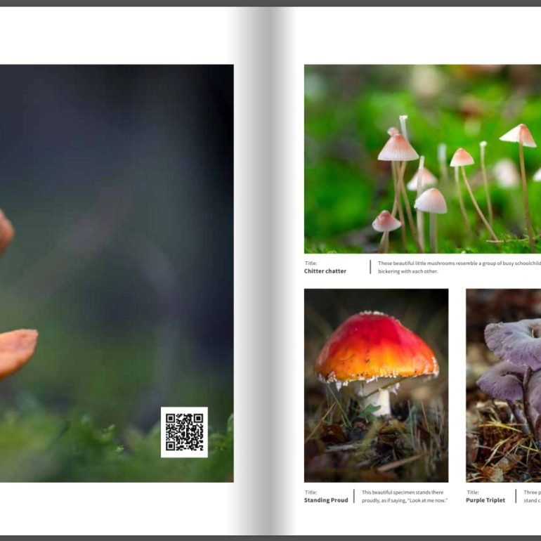 Book Autumn – The Splendour of Nature in Pictures