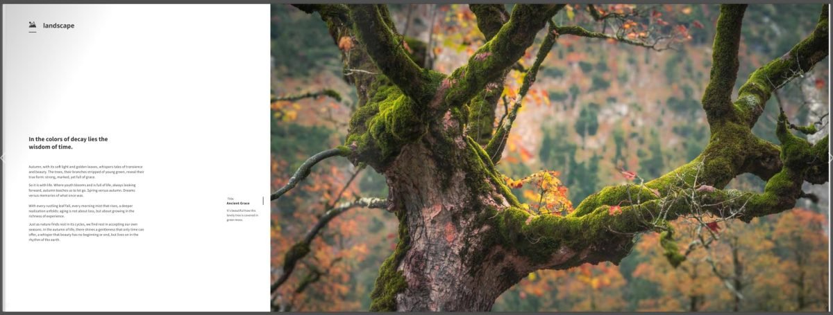 Book Autumn – The Splendour of Nature in Pictures