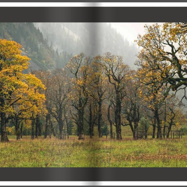 Book Autumn – The Splendour of Nature in Pictures