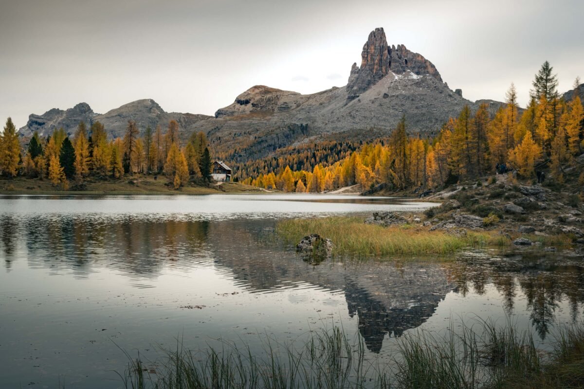 Lago Federa surrounded by golden larches
