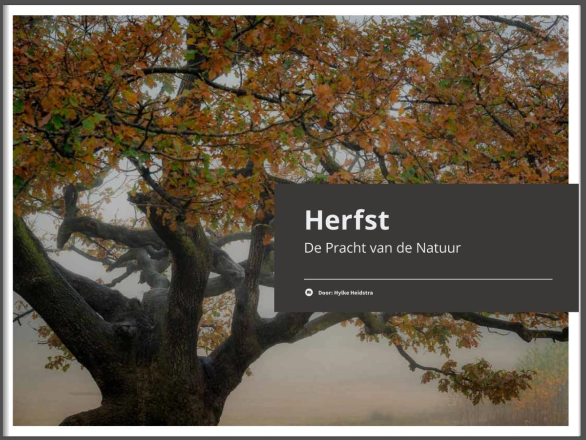 Boek Herfst – De Pracht van de Natuur in woord en beeld