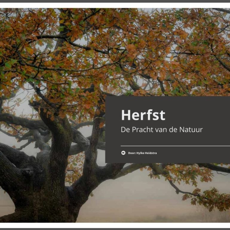 Boek Herfst – De Pracht van de Natuur in woord en beeld