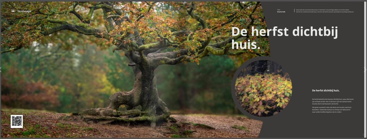 Boek Herfst – De Pracht van de Natuur in woord en beeld