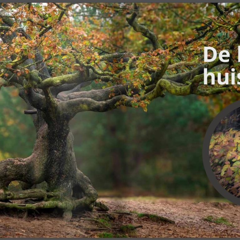 Boek Herfst – De Pracht van de Natuur in woord en beeld