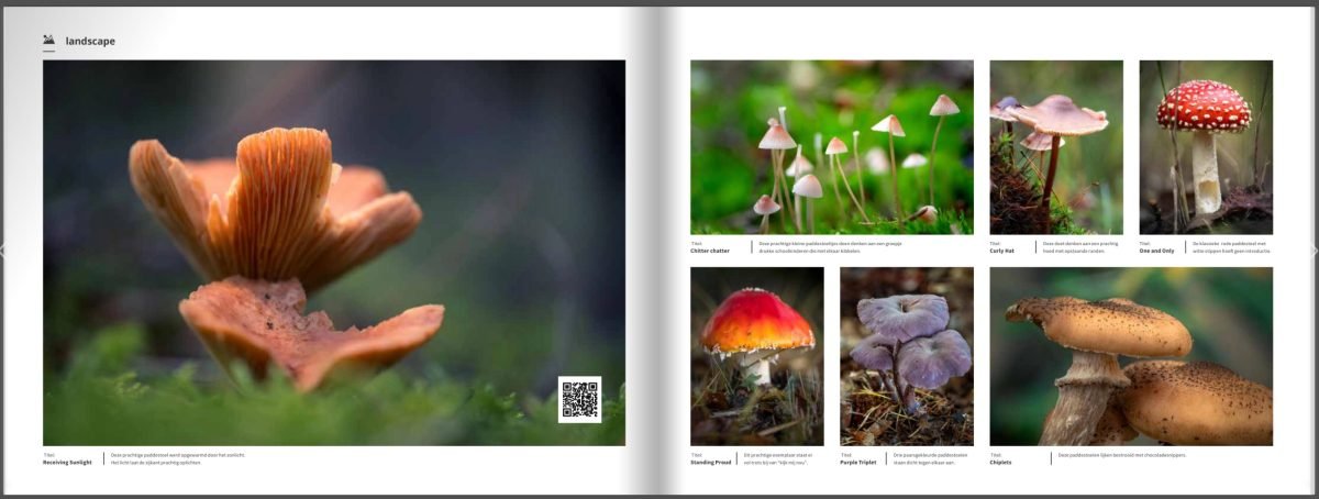 Boek Herfst – De Pracht van de Natuur in woord en beeld