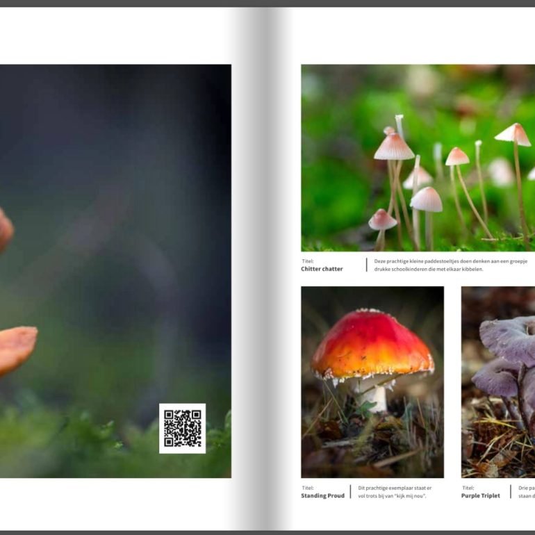 Boek Herfst – De Pracht van de Natuur in woord en beeld