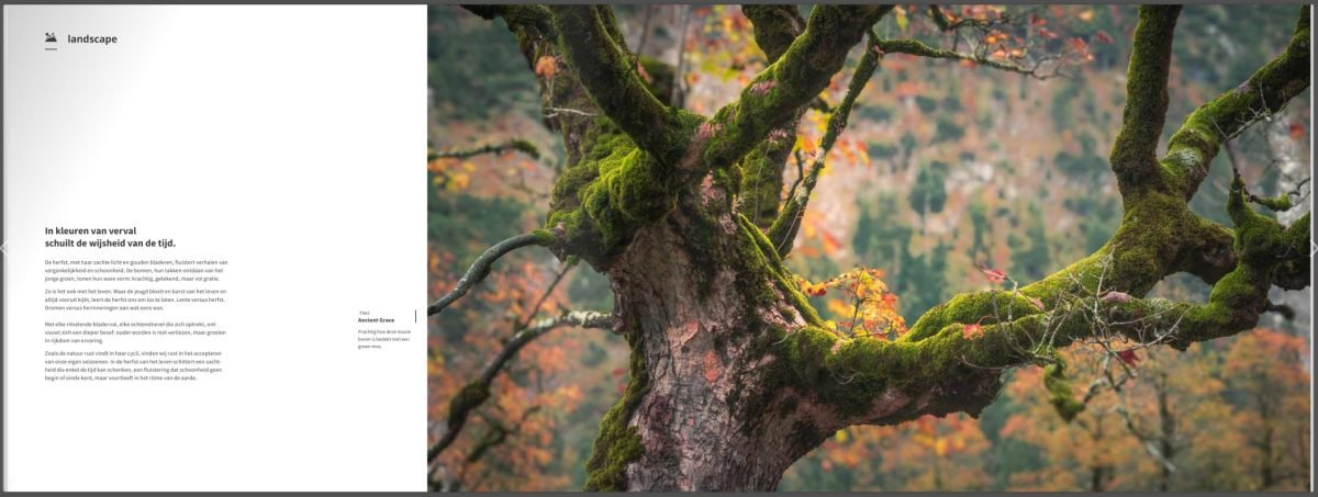 Boek Herfst – De Pracht van de Natuur in woord en beeld