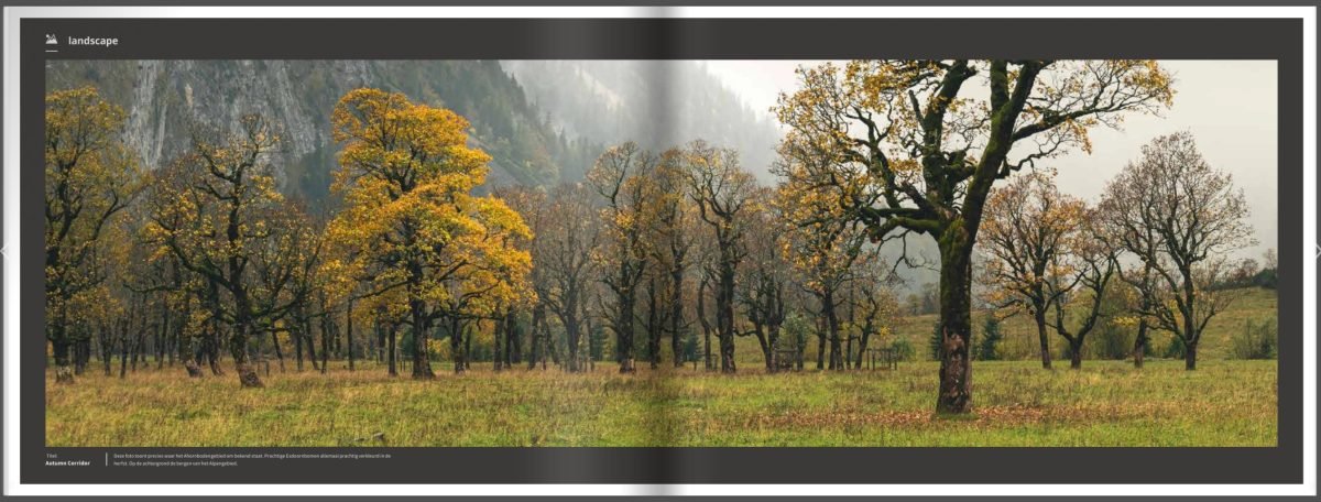 Boek Herfst – De Pracht van de Natuur in woord en beeld