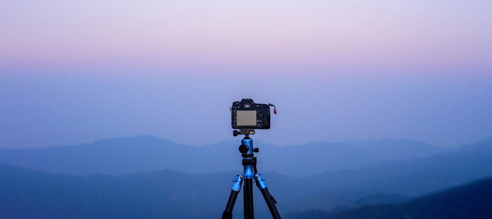 Nature photography