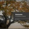 Book Autumn – The Splendour of Nature – 110 Pages Hardcover (English)
