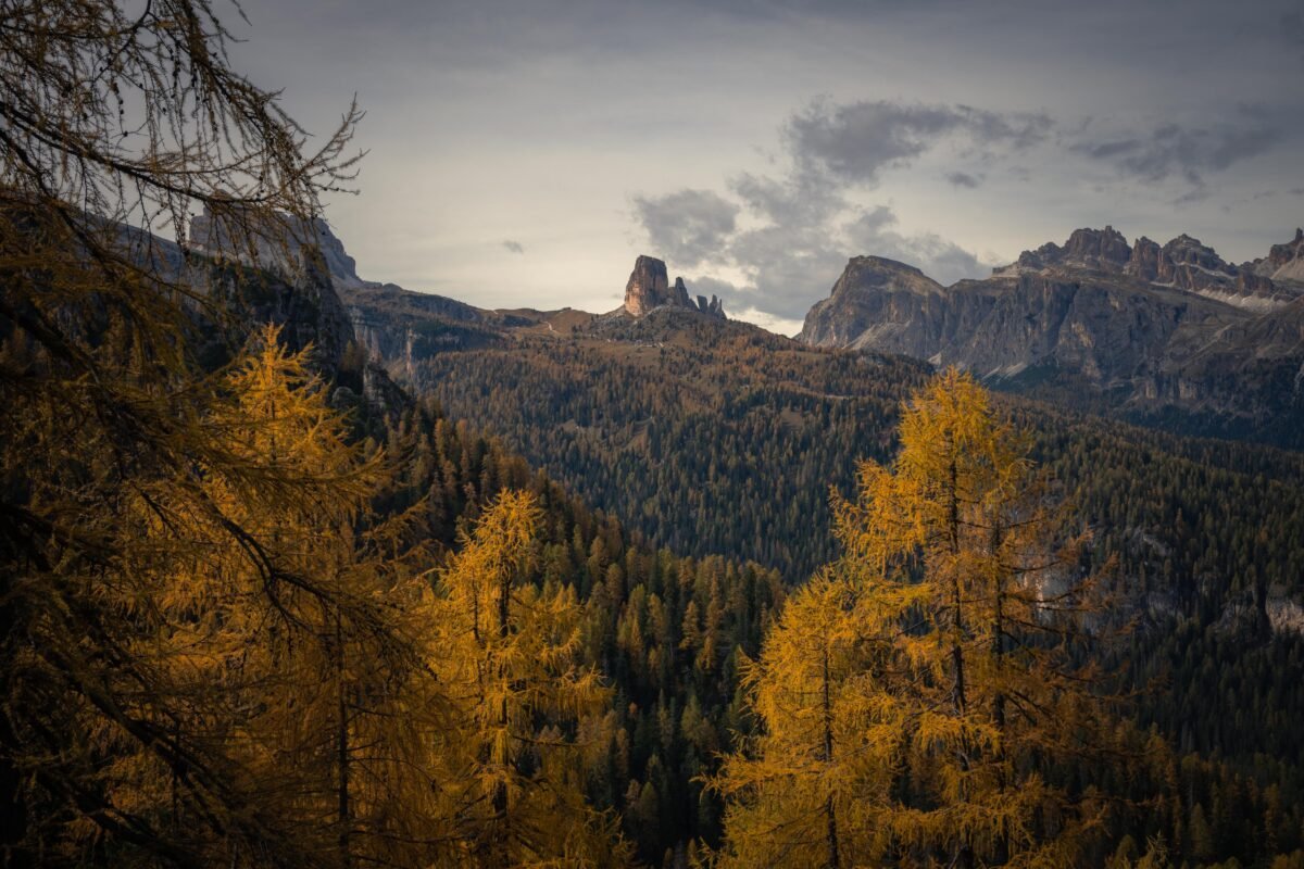 Wide autumn landscape with colorful trees and golden foliage in the mountains