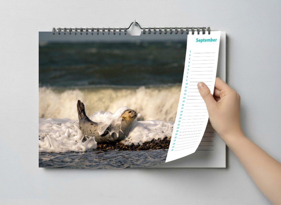 calendar with animal photo's
