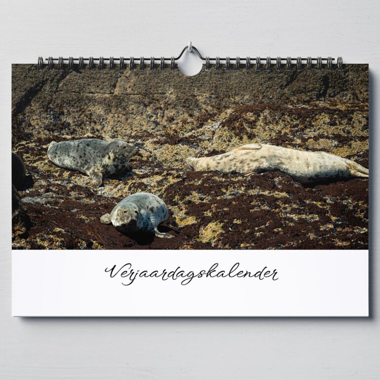 calendar with animal photo's