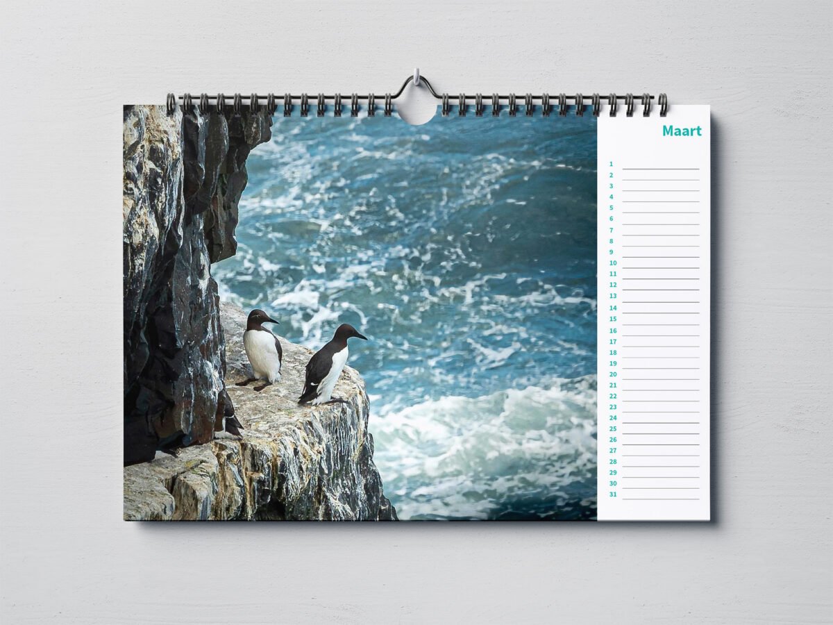 calendar with animal photo's