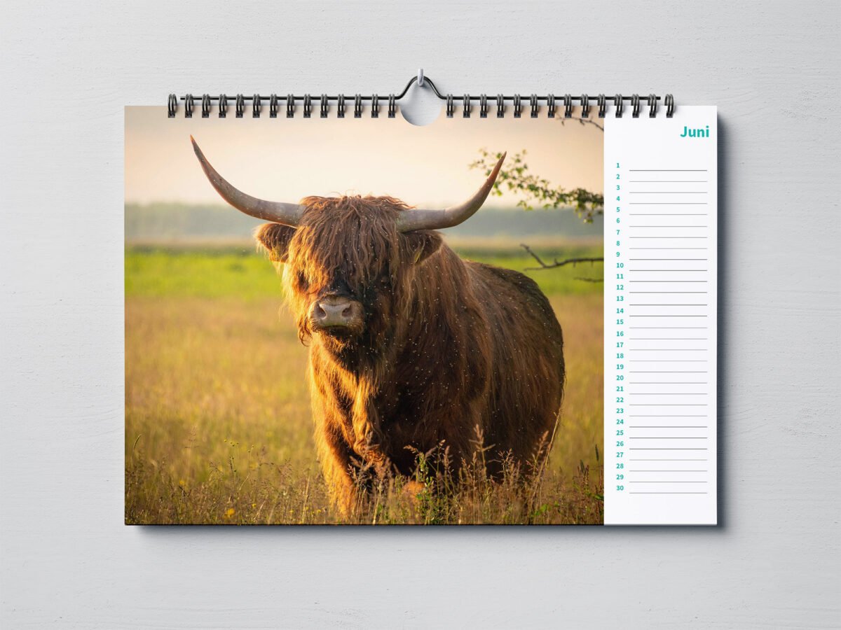 calendar with animal photo's