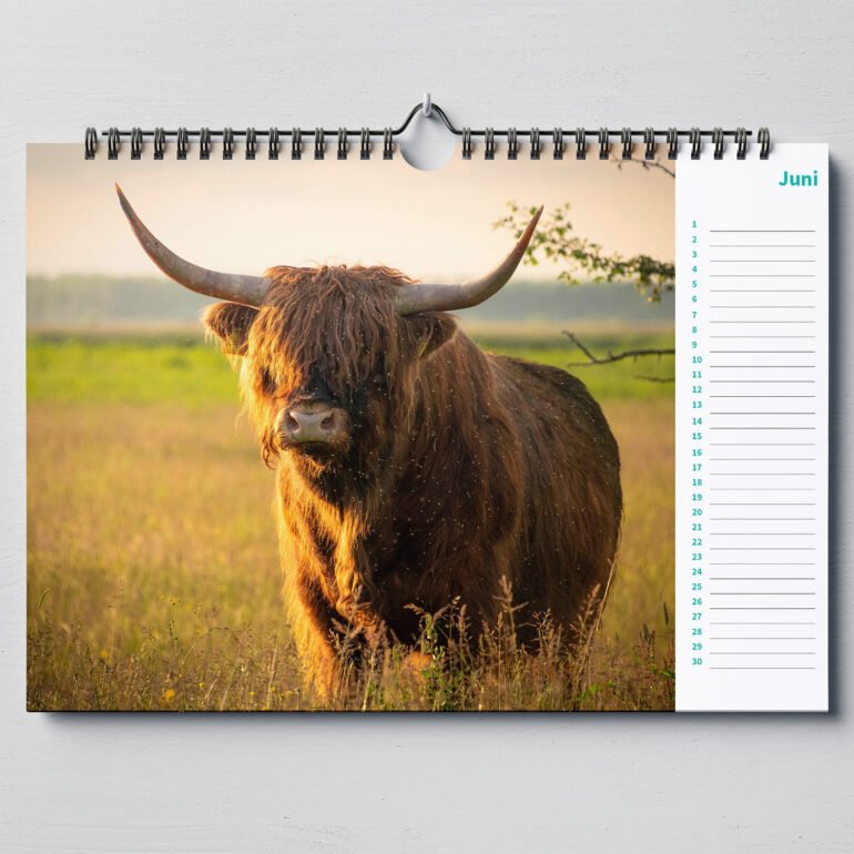 calendar with animal photo's