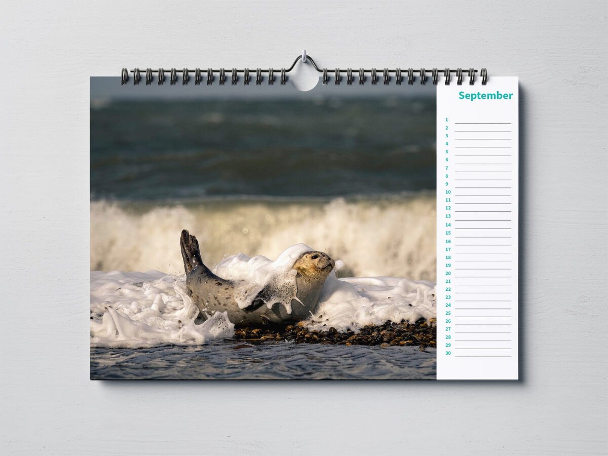calendar with animal photo's