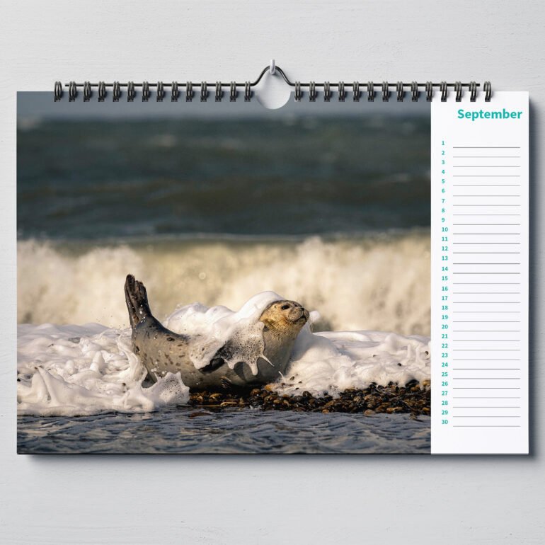 calendar with animal photo's
