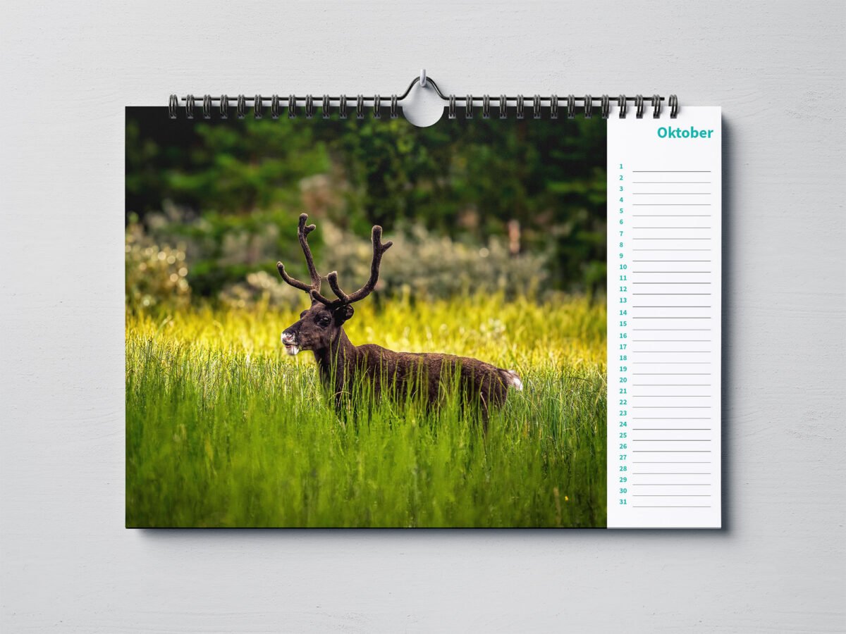 calendar with animal photo's